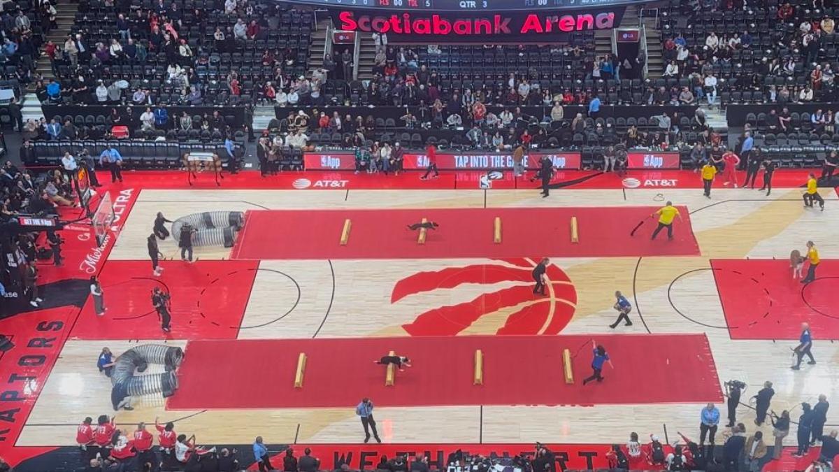 ¡Los perros también juegan en la NBA!