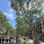 La Font de Canaletes, vallada por las obras