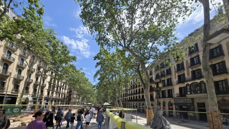 La Font de Canaletes, vallada por las obras